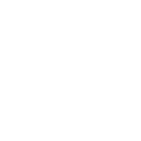 Play Icon